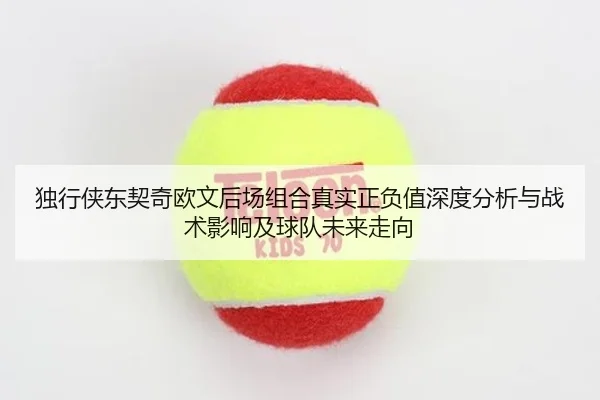 独行侠东契奇欧文后场组合真实正负值深度分析与战术影响及球队未来走向